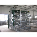 Automatic quail feeding equipment